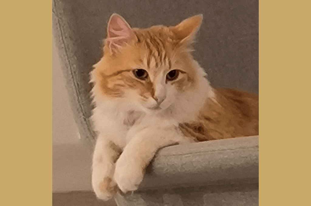 💡Changement de programme